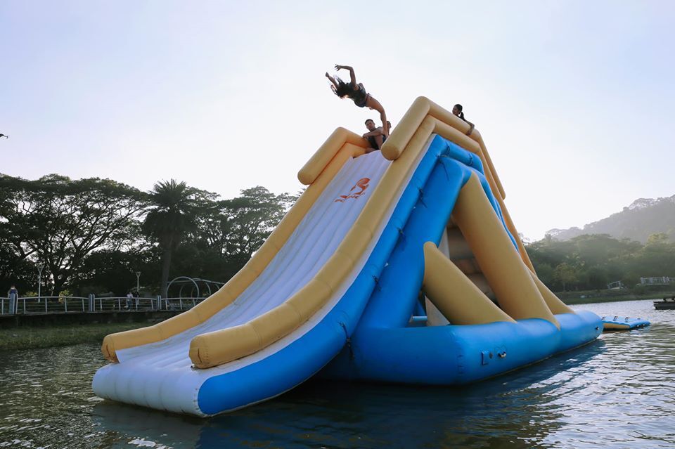 Bouncia  Array image444